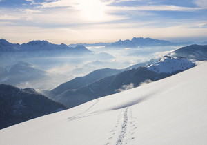 正常人一拳多少公斤正常人一拳是多少公斤