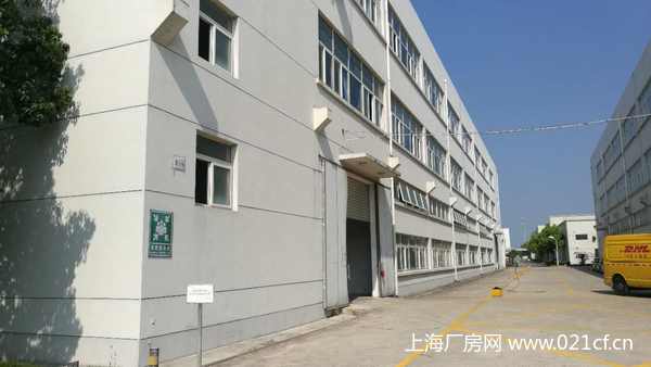 A8305 金山區(qū)松隱鎮(zhèn)松金公路獨(dú)院大面積廠房出租 1300平起租 價格優(yōu)惠 