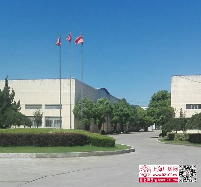 G1706 寶山區(qū)羅涇鎮(zhèn) 4333平米單層帶行車標(biāo)準(zhǔn)廠房 上海拆遷進(jìn)行中 好房機不可失