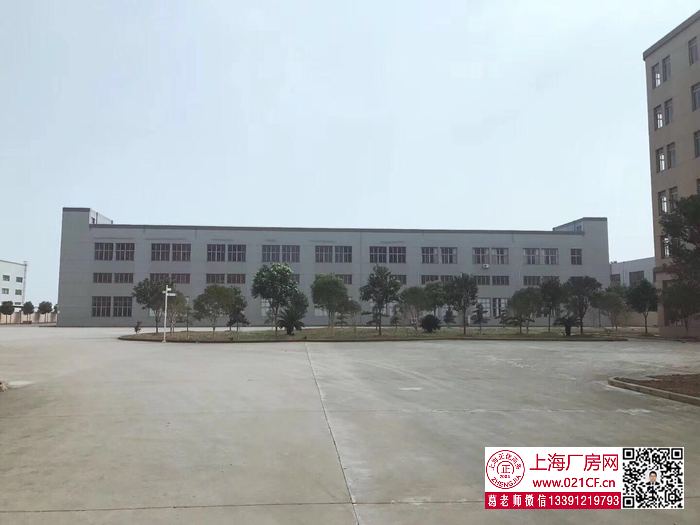 G1767 金山楓涇鎮(zhèn)建安路雙層廠房倉庫出租 1000平起租  104地塊可環(huán)評 無稅收要求
