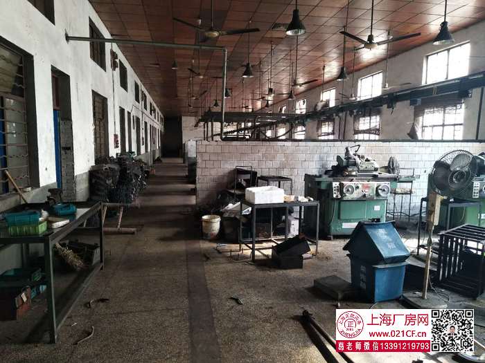 G1771 寶山 楊行鎮(zhèn) 鐵力路全單層磚混結(jié)構(gòu)三號(hào)線沿線3350平方米廠房倉庫出租 可分割