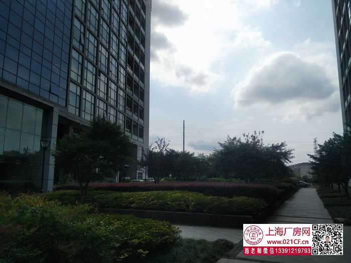 G1776 靜安 地鐵一號線汶水路站附近 市北高新園區(qū)內研發(fā)辦公展示樓出租 一樓500平，樓上200平起租