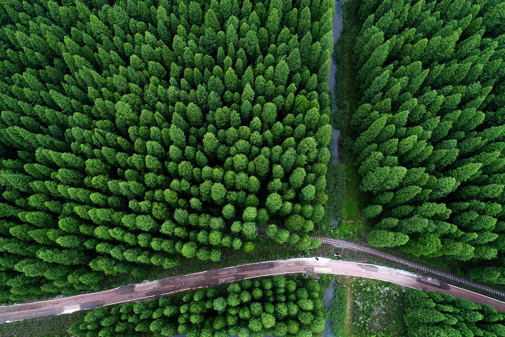 【新時代 新作為 新篇章】江蘇金湖：白天深呼吸 晚上數(shù)星星