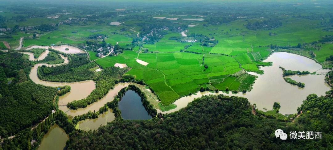 乘風破浪的肥西之花崗篇：發(fā)力改革創(chuàng)新 駛入發(fā)展“快車道”