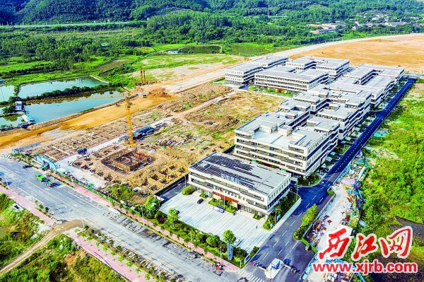 肇慶全方位打造高效精準(zhǔn)暖心營商環(huán)境