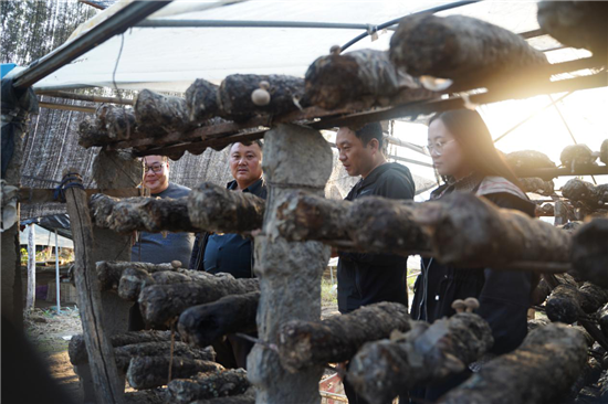 平頂山市魯山縣財(cái)政局：361萬(wàn)元助力特色農(nóng)業(yè)保險(xiǎn)試點(diǎn)工作