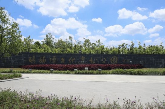 盛夏來襲 中南熙悅近享“園”味風景