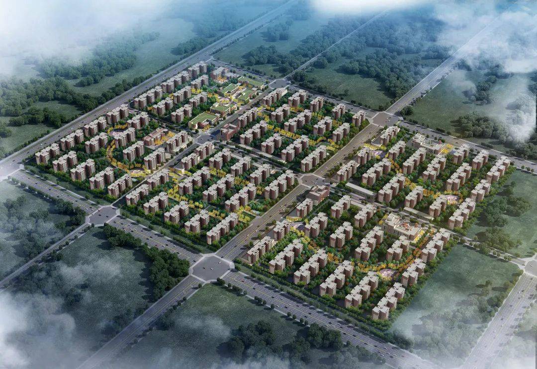 博林特電梯喜中209臺大標！