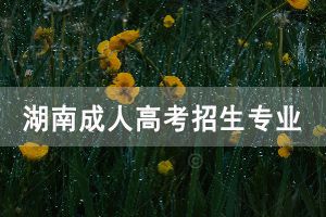 中南林業(yè)科技大學(xué)成人高考招生專業(yè)有哪些呢
