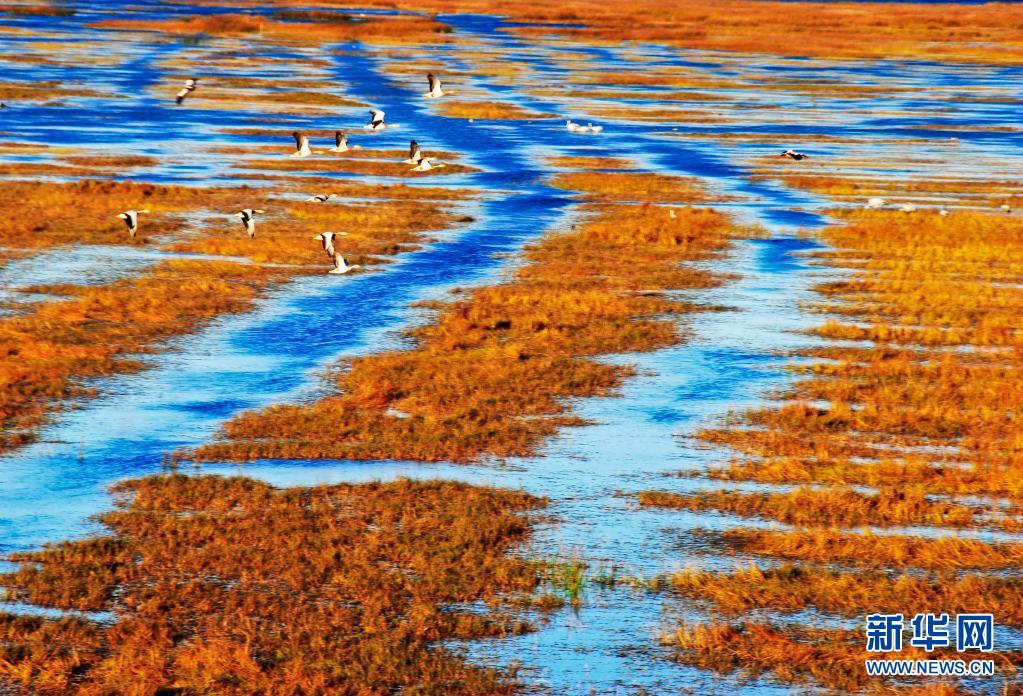 “七一”重要講話精神在基層｜黔貴大地上演“綠色逆襲”——來(lái)自國(guó)家生態(tài)文明試驗(yàn)區(qū)（貴州）的調(diào)查報(bào)告
