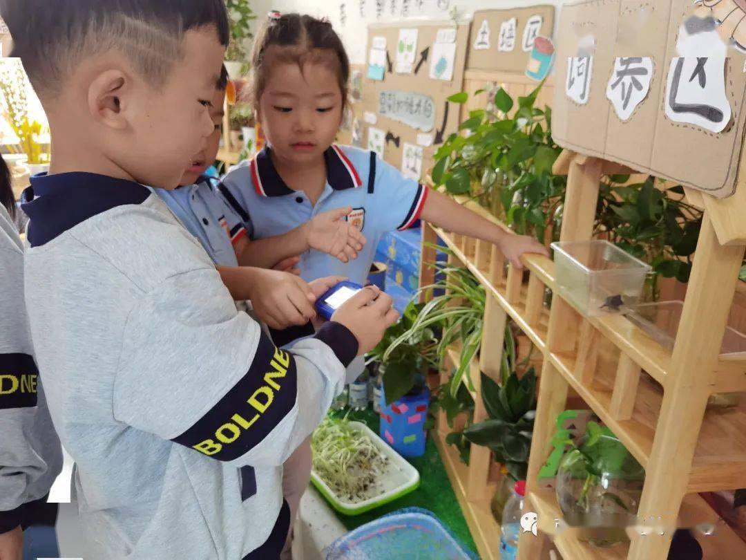 小烏龜你好！——開發(fā)區(qū)中南熙悅幼兒園班本課程敘事