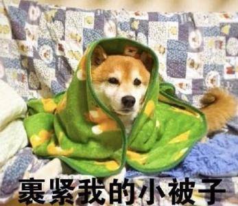 山西將迎2018年首場(chǎng)雪；今起山西省直醫(yī)保待遇提高蕞高報(bào)銷60萬！丨山晚早新聞