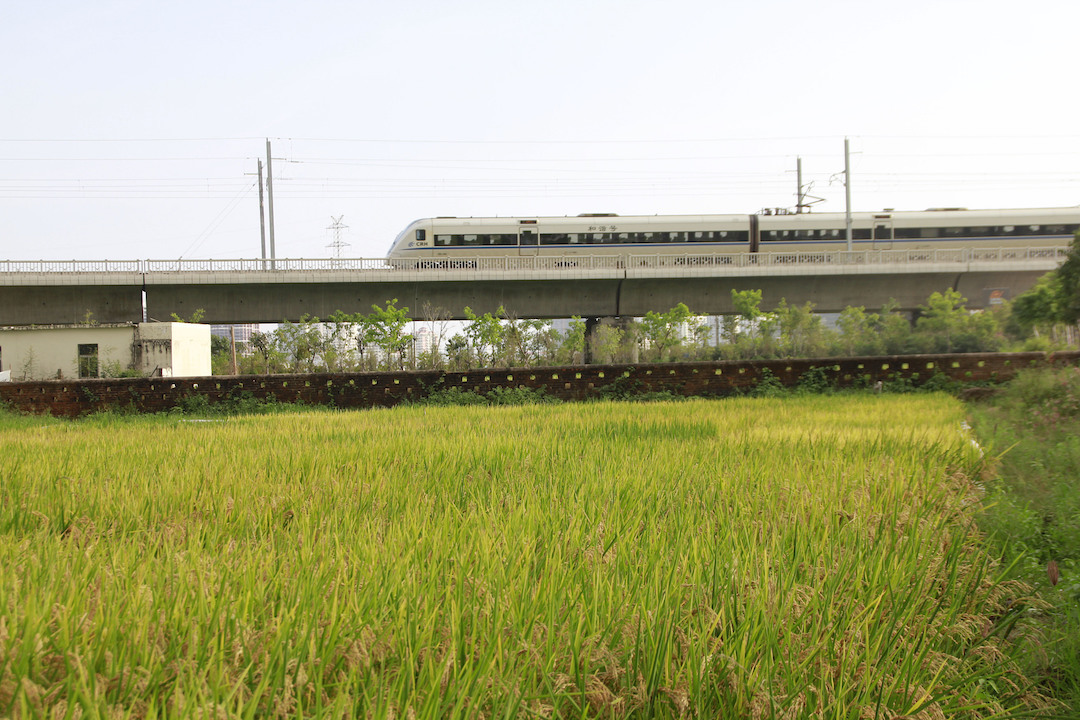 海南三亞：已建成南繁高標(biāo)準(zhǔn)農(nóng)田2426萬(wàn)畝 415家種企落戶(hù)