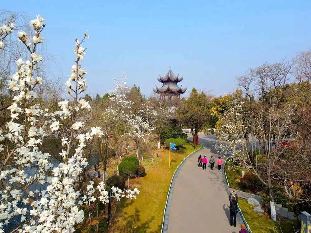 推進產(chǎn)業(yè)結(jié)構(gòu)調(diào)整！壯士斷腕后徐州銅山能否涅槃迎新生？